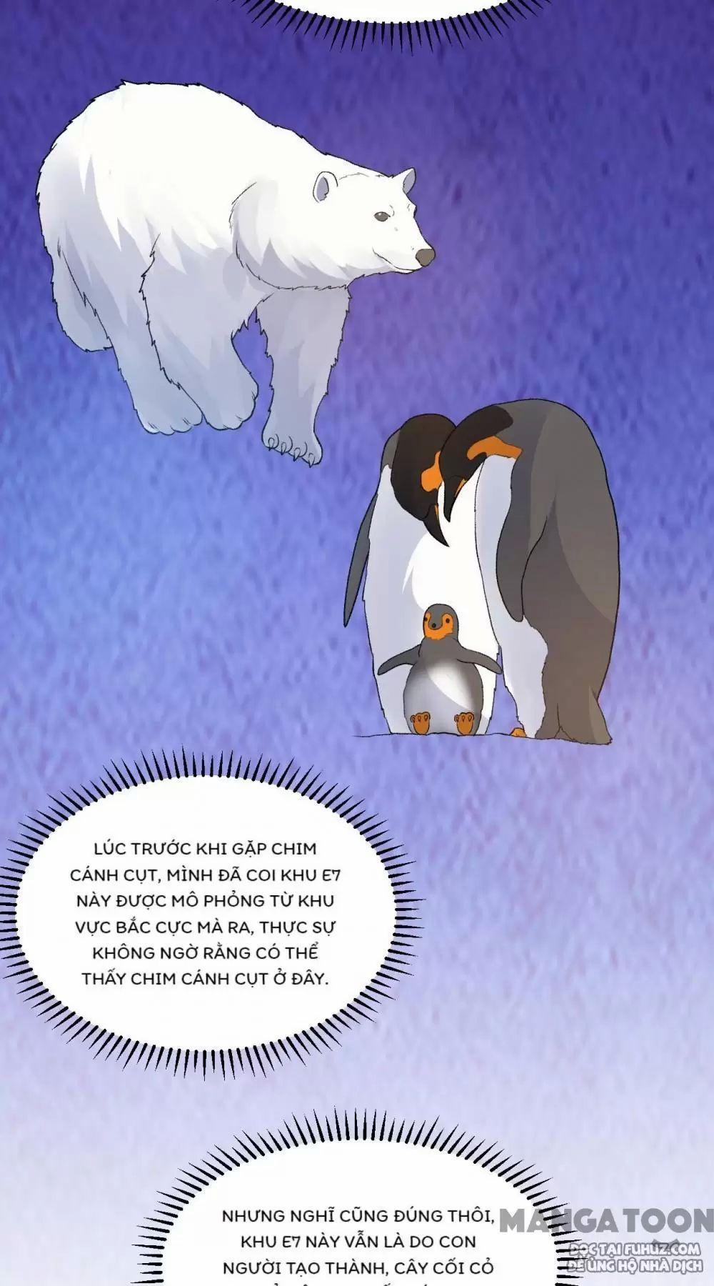 Tôi Sống Trên Hoang Đảo Cùng Các Em Gái 247 trang 1