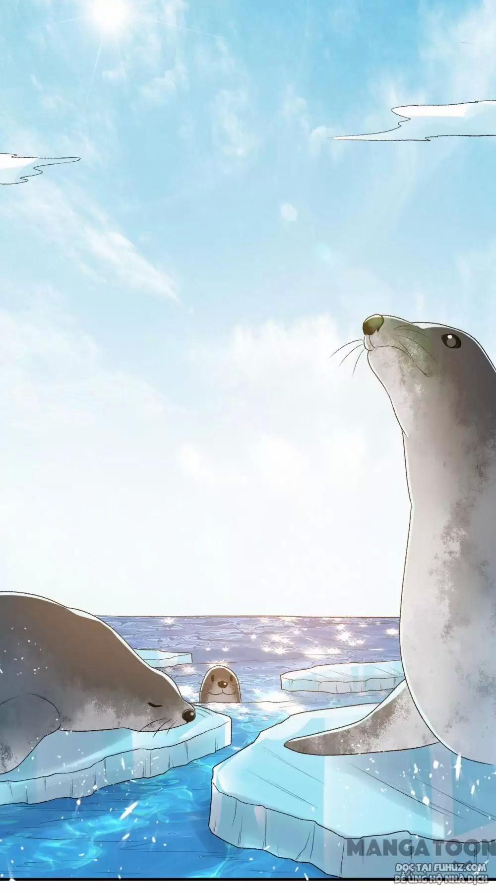 Tôi Sống Trên Hoang Đảo Cùng Các Em Gái 247 trang 21