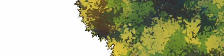 Tôi Sống Trên Hoang Đảo Cùng Các Em Gái 298 trang 30