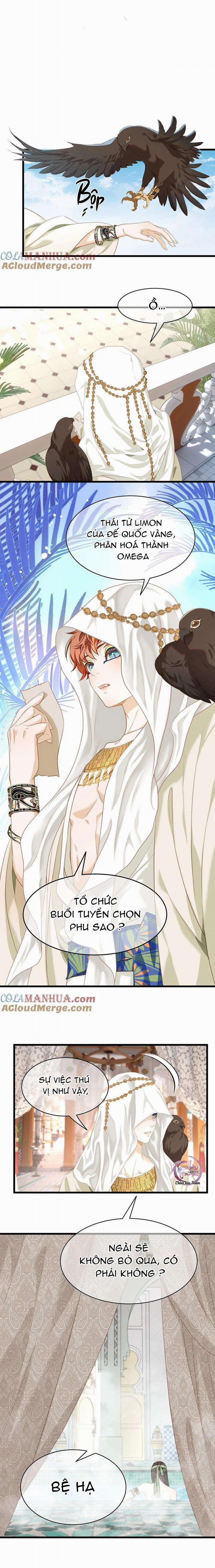 Tôi Tái Sinh Thành Tiểu Ác Long Của Hoàng Tử Điện Hạ 21 trang 5