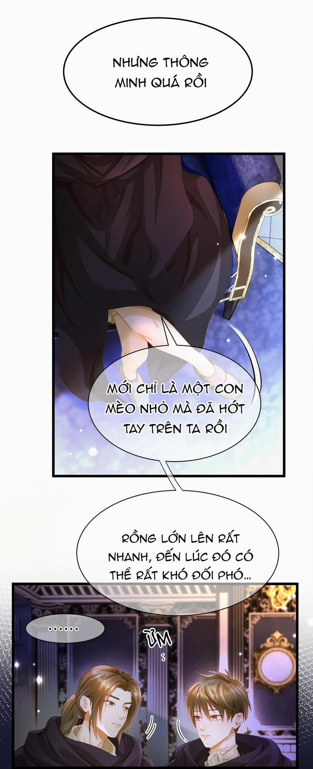 Tôi Tái Sinh Thành Tiểu Ác Long Của Hoàng Tử Điện Hạ 6 trang 2