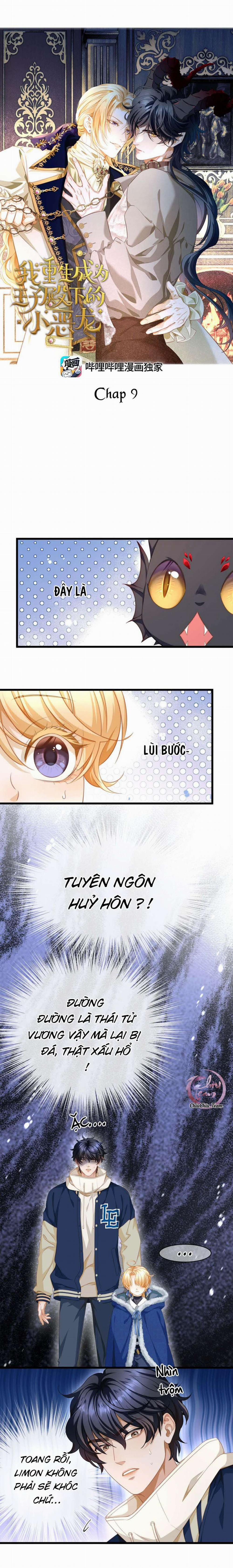 Tôi Tái Sinh Thành Tiểu Ác Long Của Hoàng Tử Điện Hạ 9 trang 0