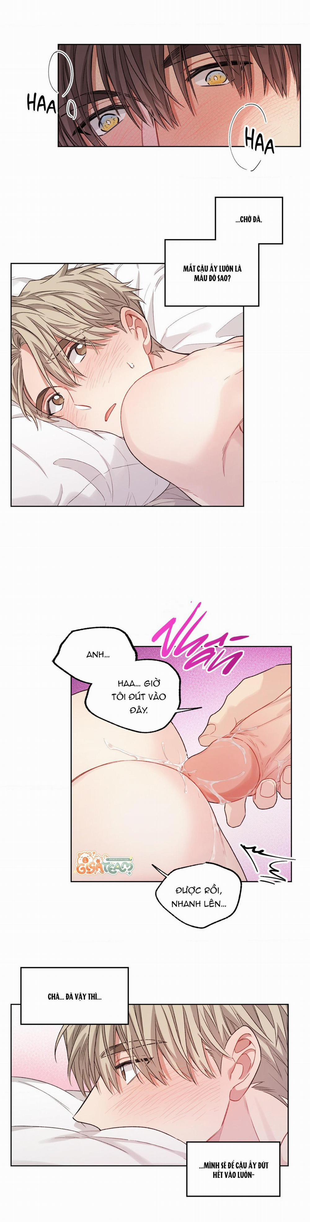 Tôi Thề, Tôi Không Phải Kẻ Lừa Đảo Đâu 11 trang 5