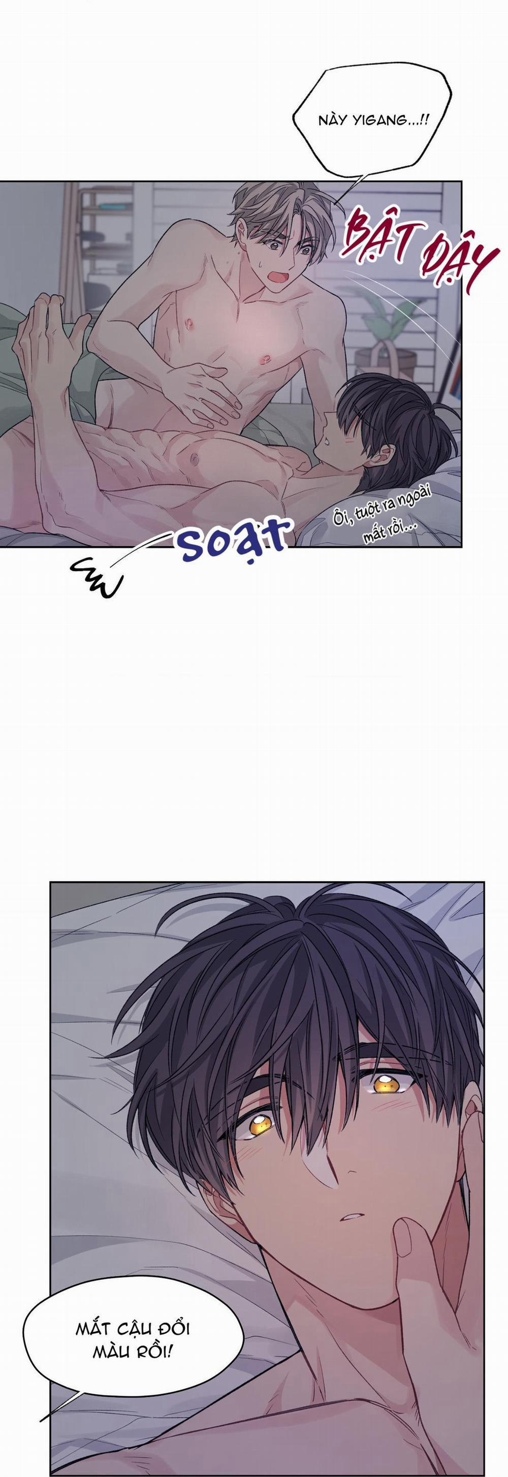 Tôi Thề, Tôi Không Phải Kẻ Lừa Đảo Đâu 12 H+ trang 12