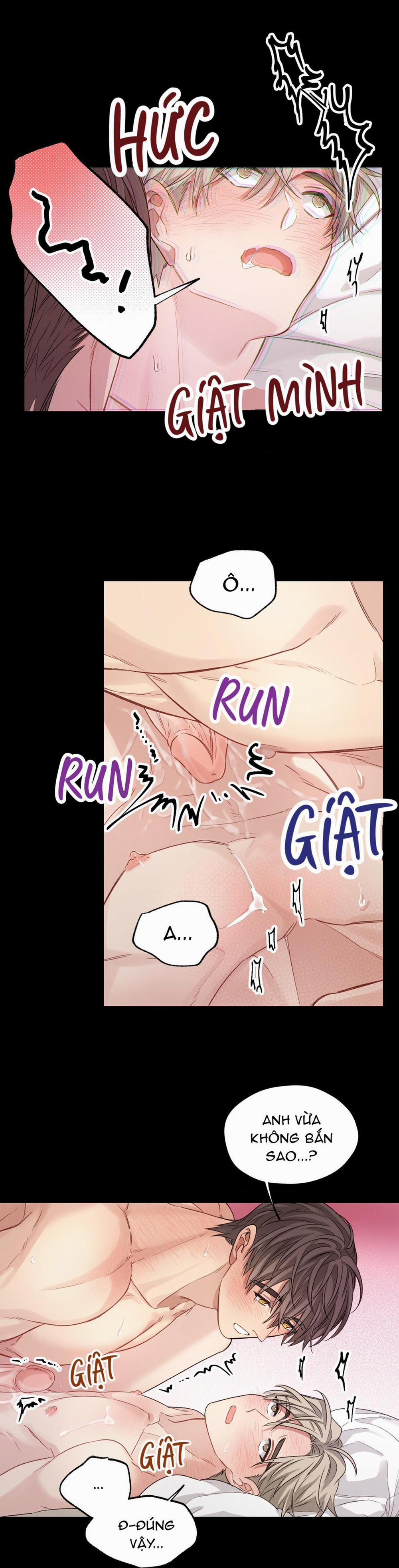 Tôi Thề, Tôi Không Phải Kẻ Lừa Đảo Đâu 12 H+ trang 8