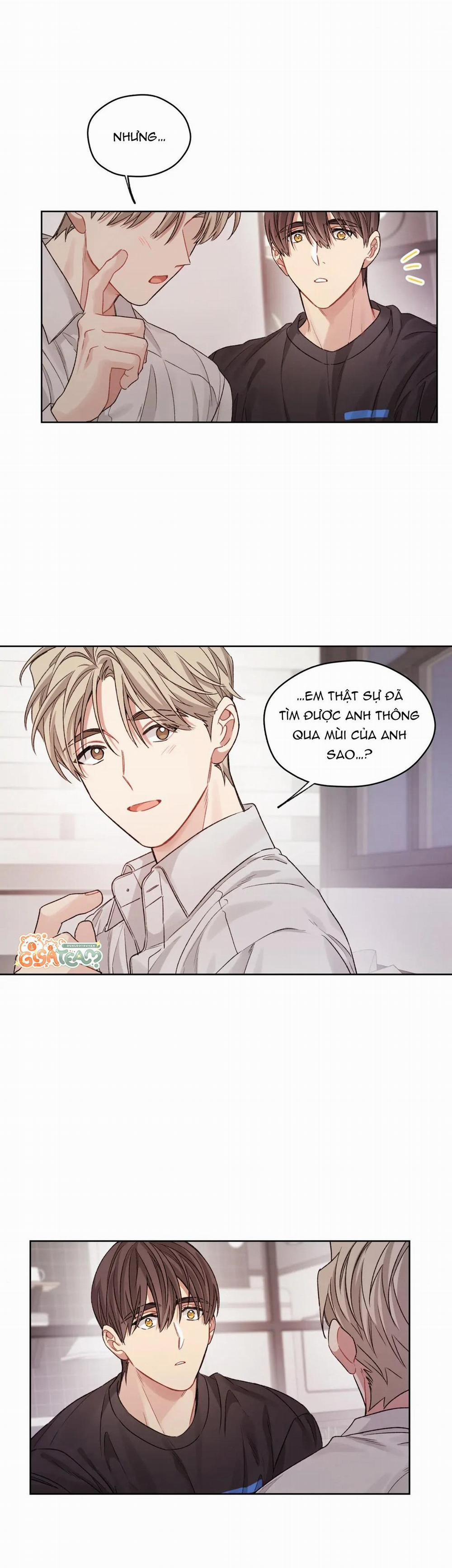 Tôi Thề, Tôi Không Phải Kẻ Lừa Đảo Đâu 17 trang 5