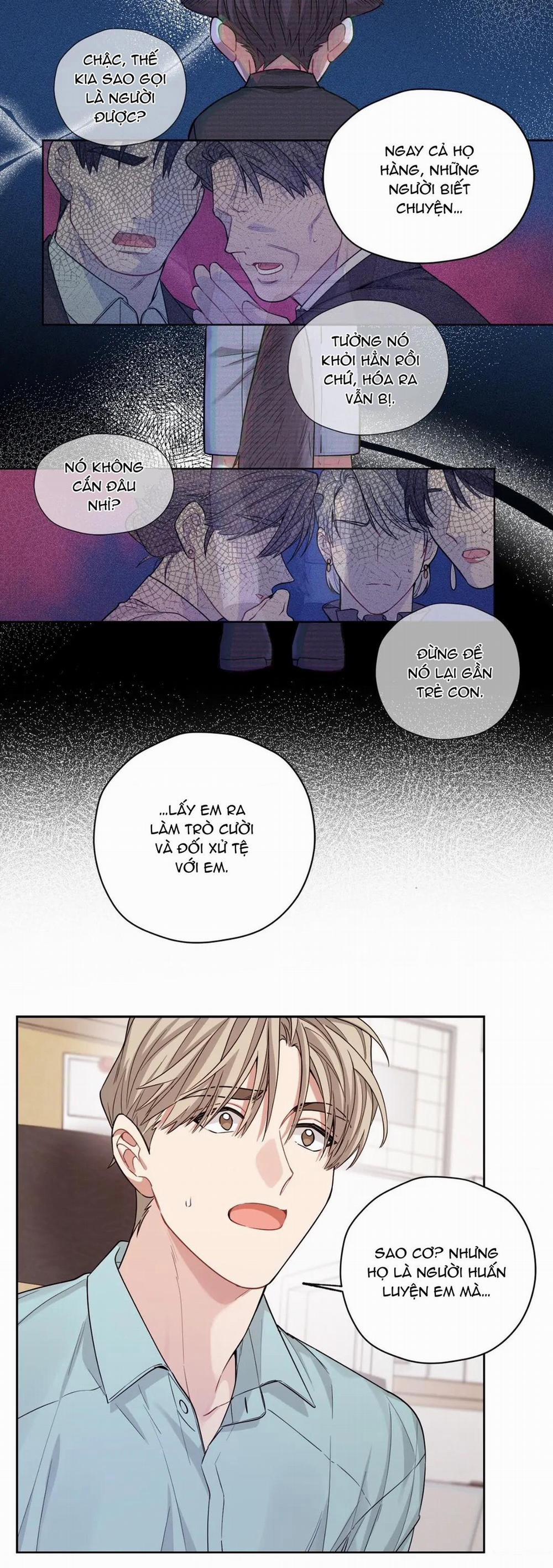 Tôi Thề, Tôi Không Phải Kẻ Lừa Đảo Đâu 23 trang 15