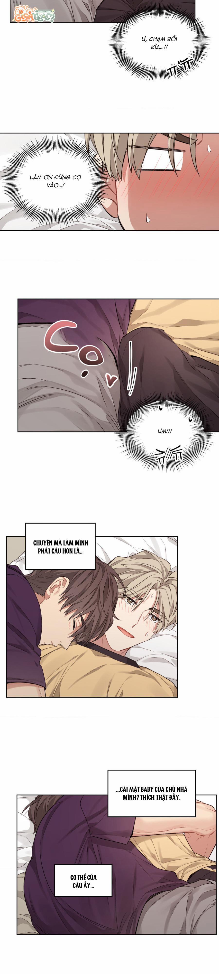 Tôi Thề, Tôi Không Phải Kẻ Lừa Đảo Đâu 6 trang 6