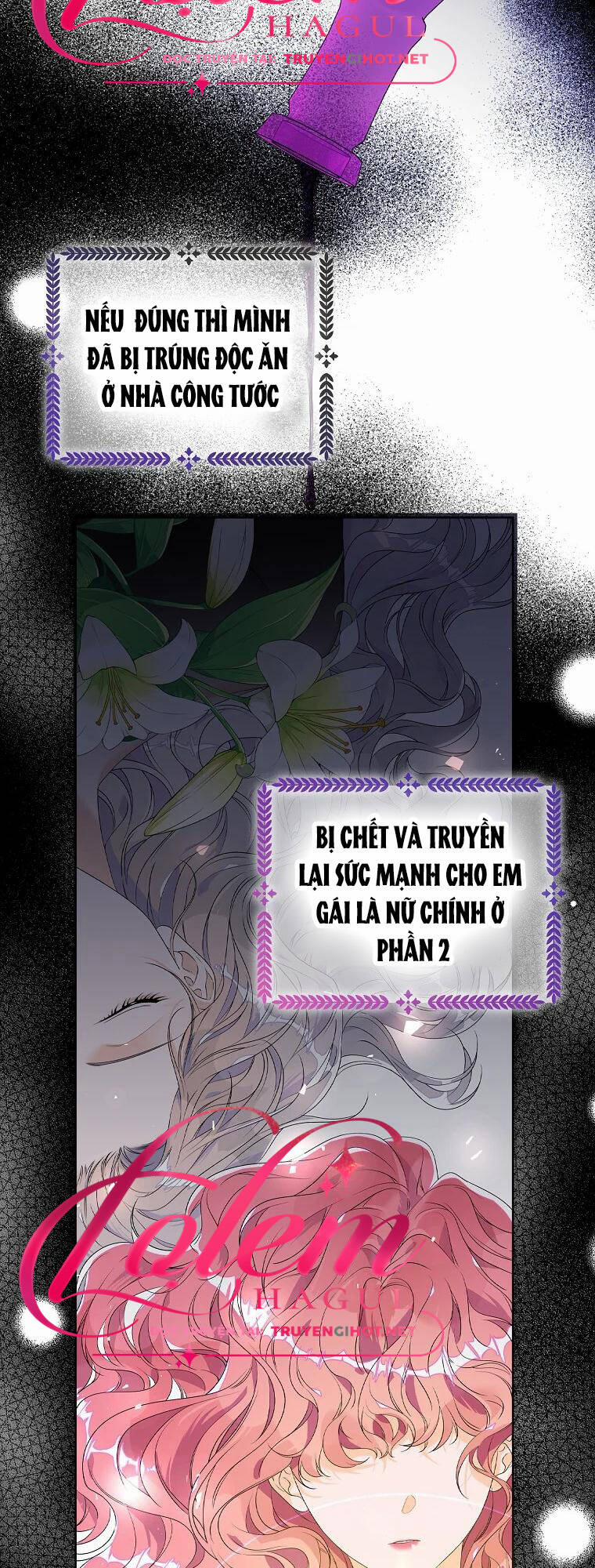 Tôi Thích Phục Vụ Cho Những Nhân Vật Phản Diện 15 trang 24