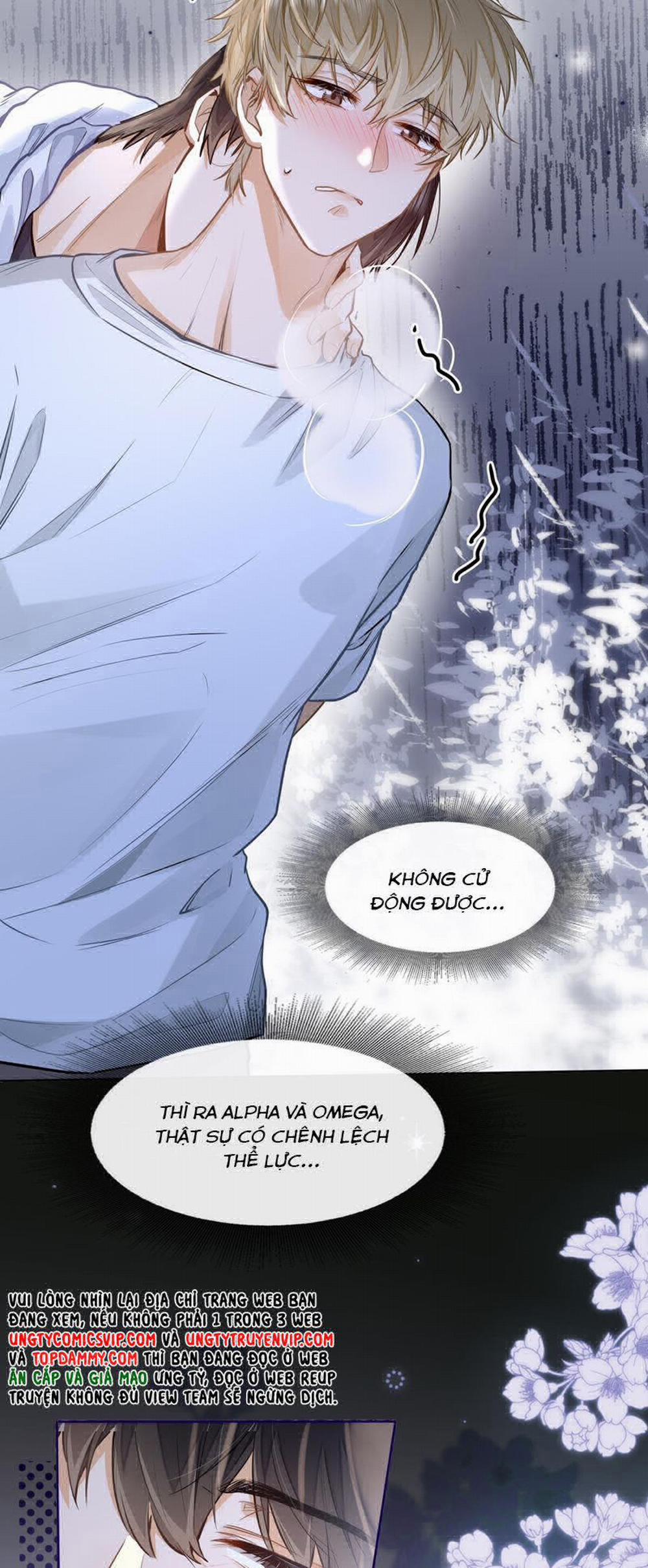 Tôi Thích Tin Tức Tố Của Cậu 20 trang 10