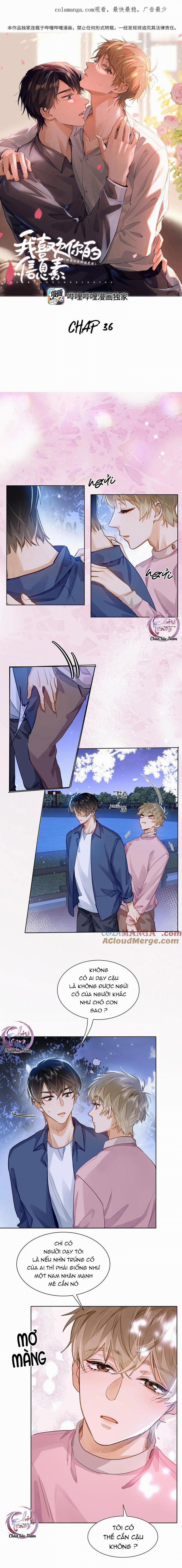 Tôi Thích Tin Tức Tố Của Cậu 36 trang 0