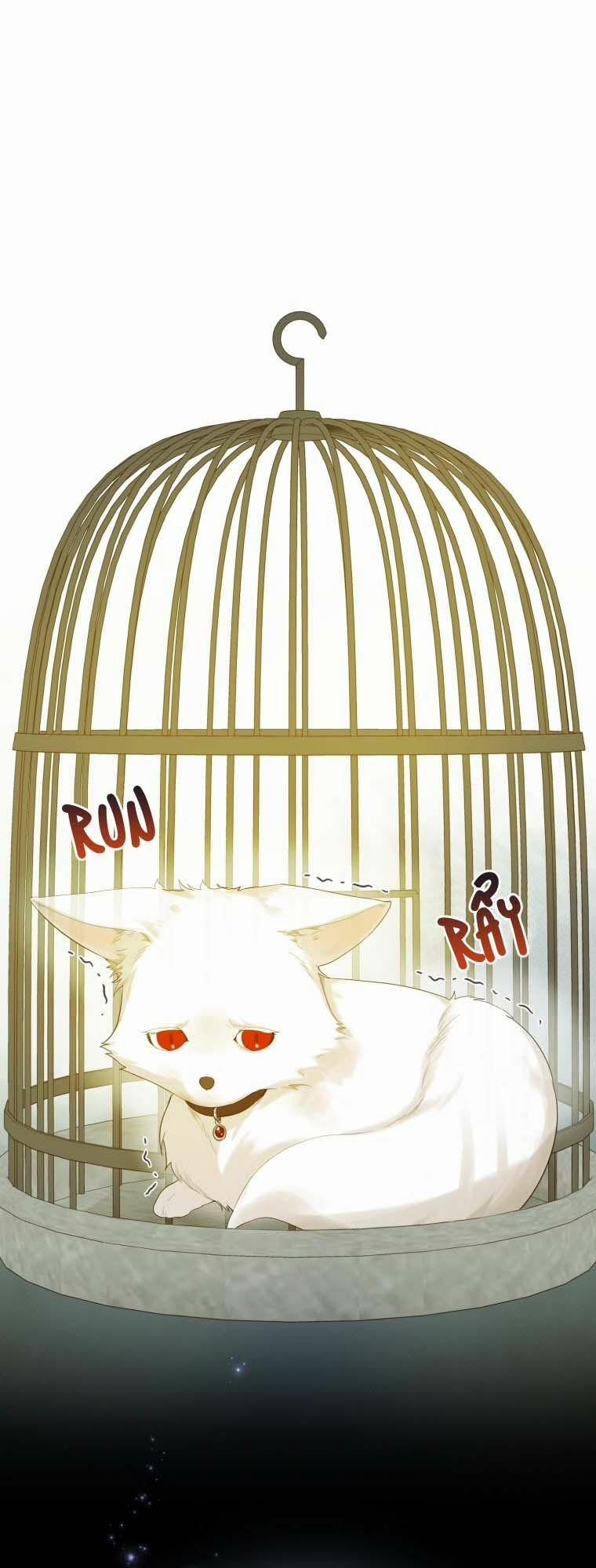 Tôi Trở Thành Em Gái Của Nam Chính Tiểu Thuyết Bl 11 trang 0