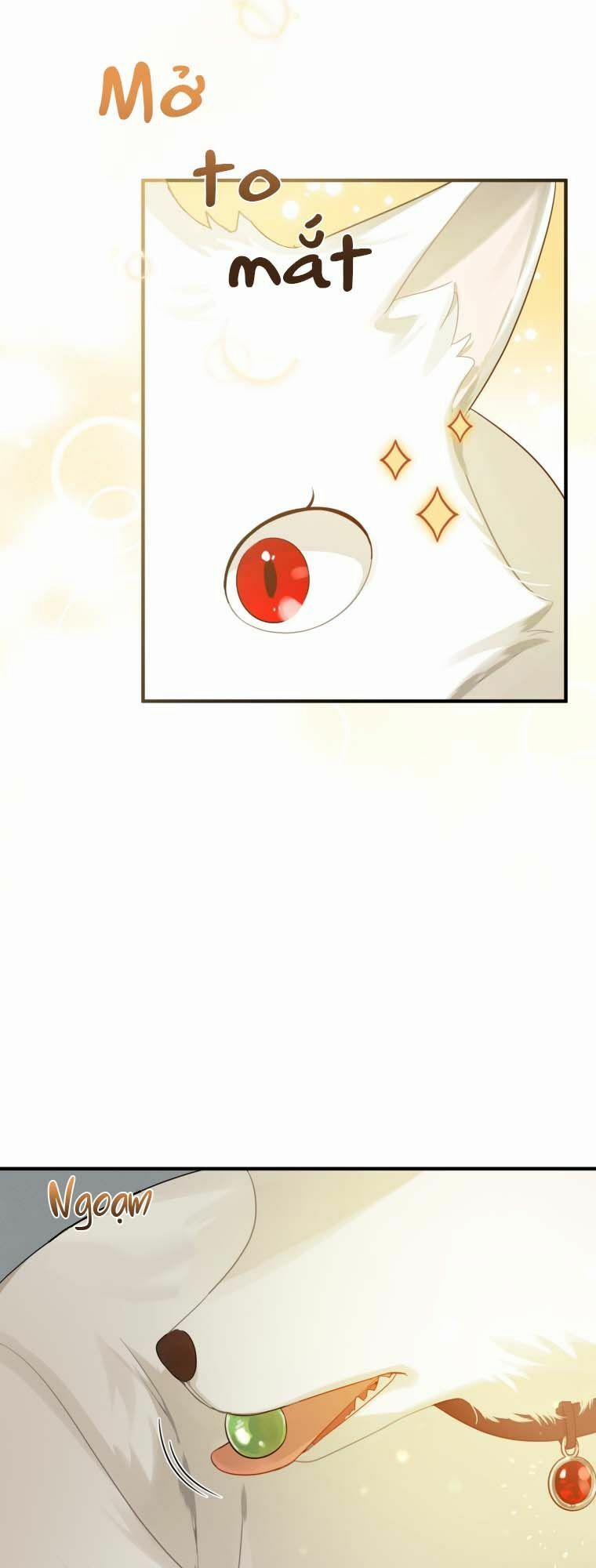 Tôi Trở Thành Em Gái Của Nam Chính Tiểu Thuyết Bl 11 trang 48