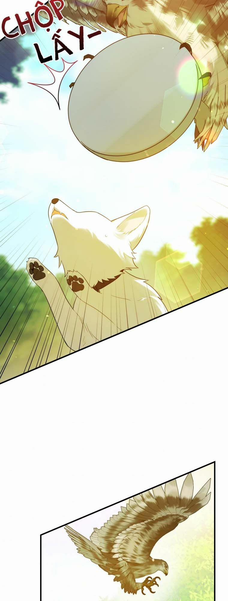 Tôi Trở Thành Em Gái Của Nam Chính Tiểu Thuyết Bl 13 trang 15