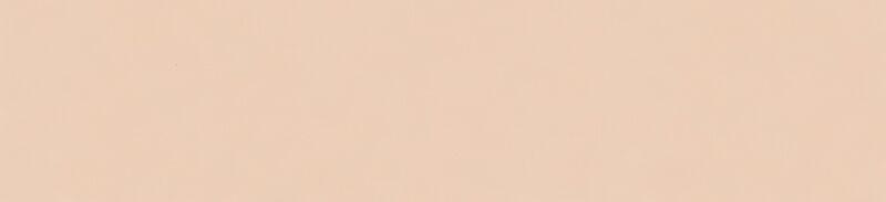 Tôi Trở Thành Hầu Gái Của Một Công Tước 13 trang 19