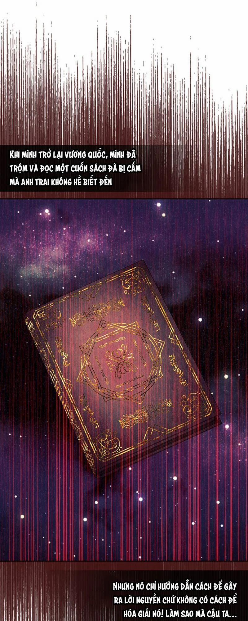 Tôi Trở Thành Hầu Gái Của Một Công Tước 40 trang 13