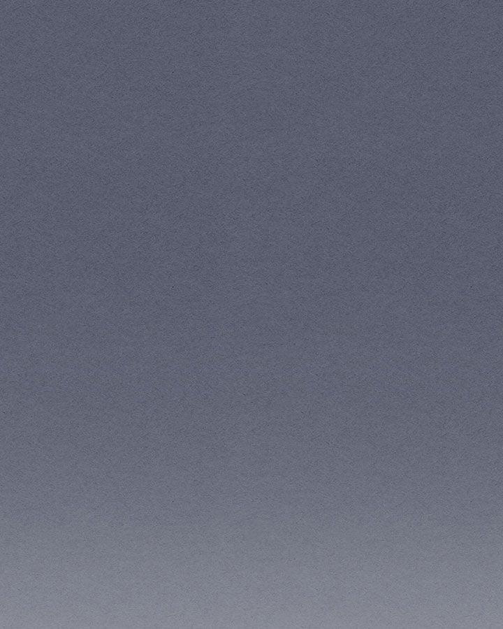 Tôi Trở Thành Hầu Gái Của Một Công Tước 49 trang 11