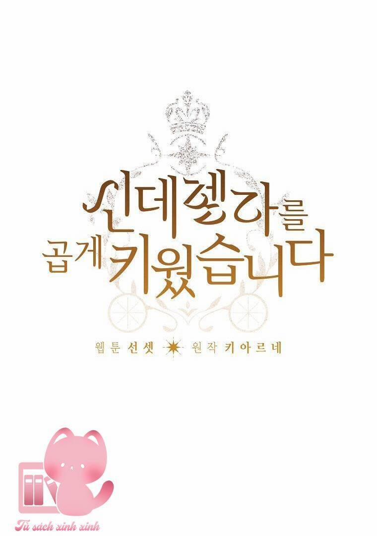 Tôi Trở Thành Mẹ Kế Của Cinderella 78 trang 8