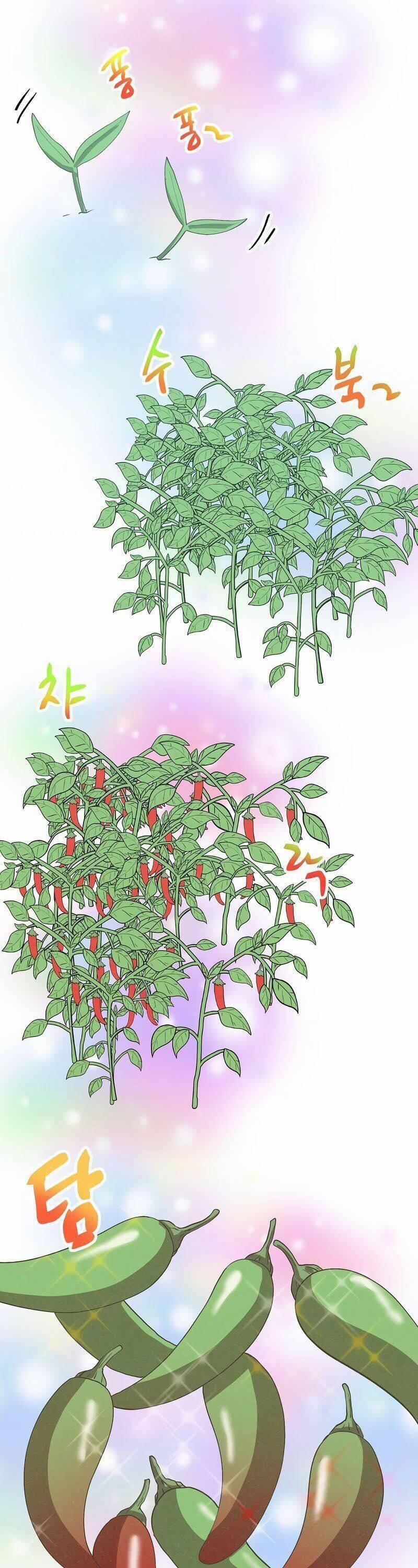 Tôi Trở Thành Một Nông Dân 100 trang 27