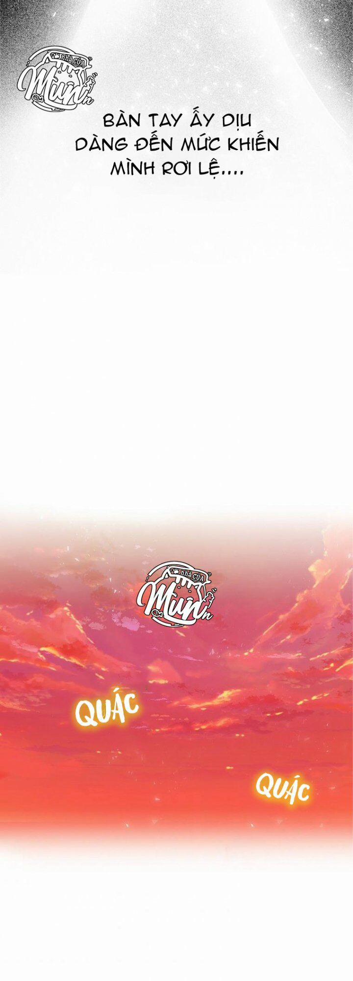 Tôi Trở Thành Vợ Nam Chính 8 trang 24