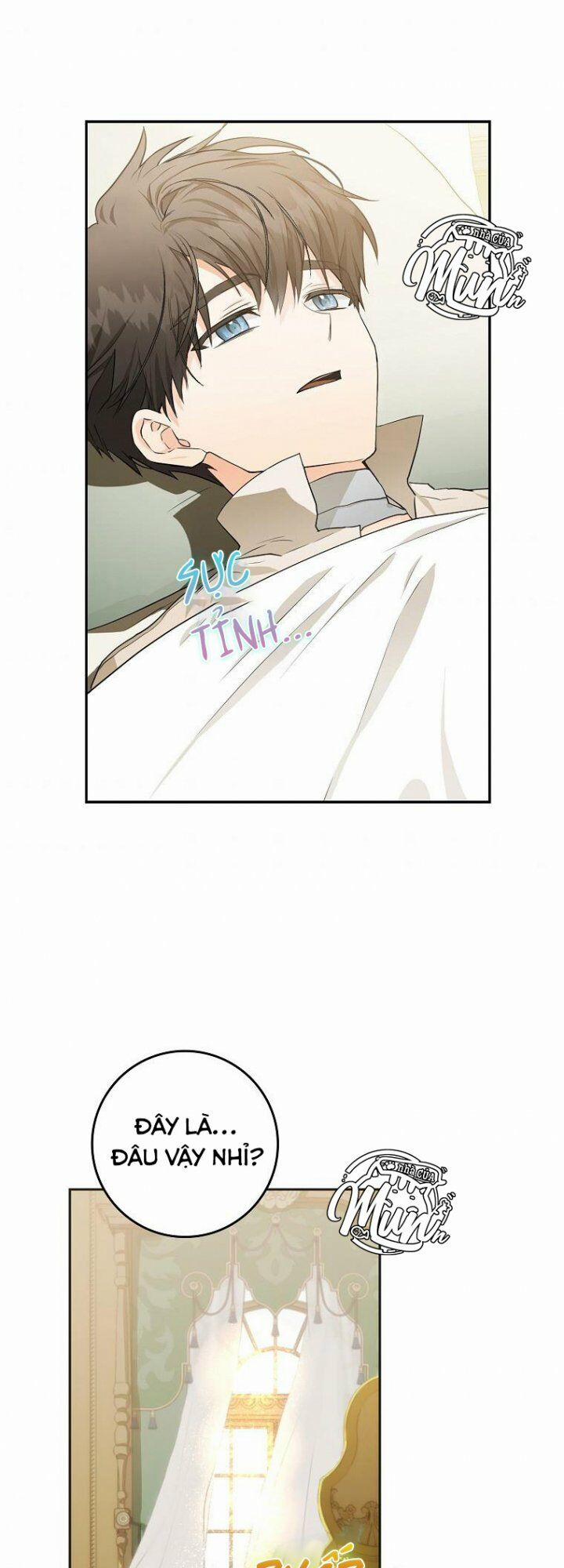 Tôi Trở Thành Vợ Nam Chính 8 trang 25