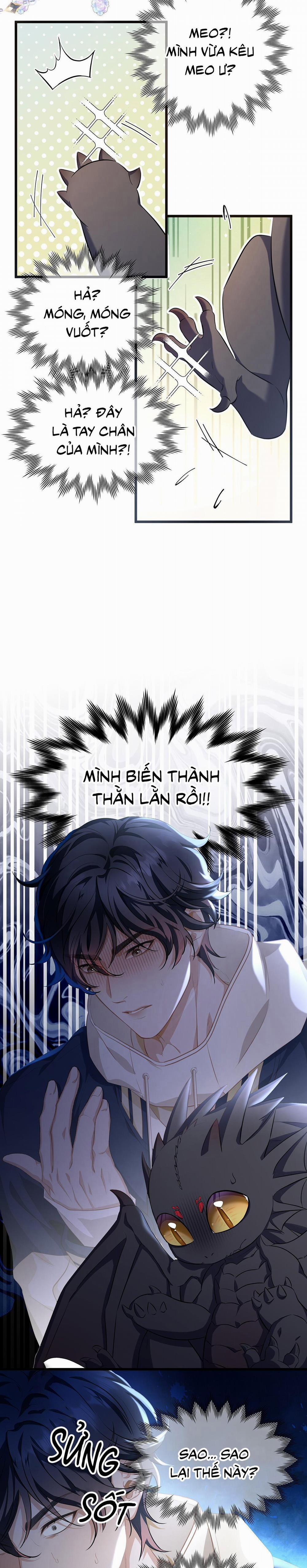 Tôi Trùng Sinh Thành Chú Rồng Đen Của Vương Tử Điện Hạ 1 trang 6