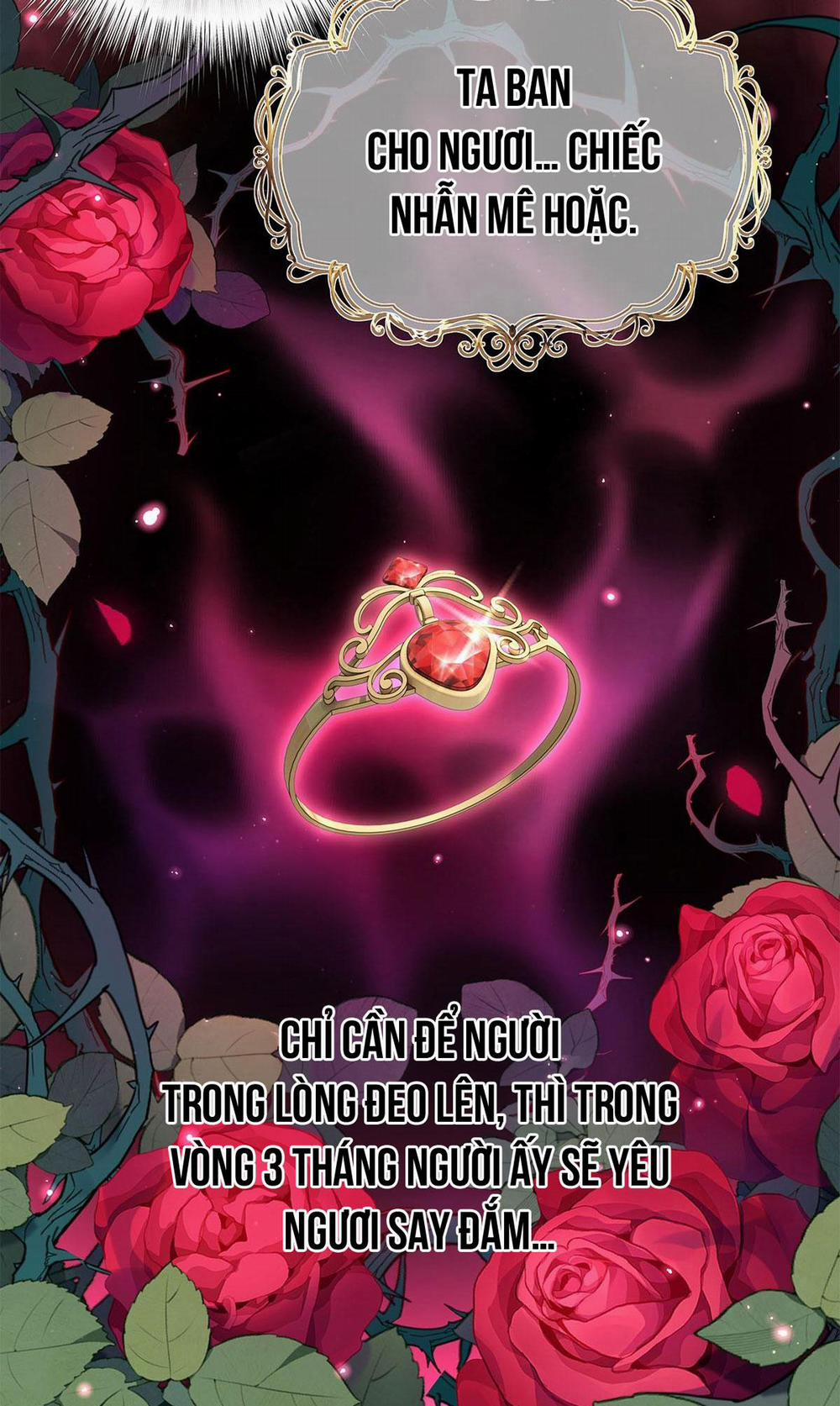 Tôi Trùng Sinh Thành Chú Rồng Đen Của Vương Tử Điện Hạ 10 trang 4