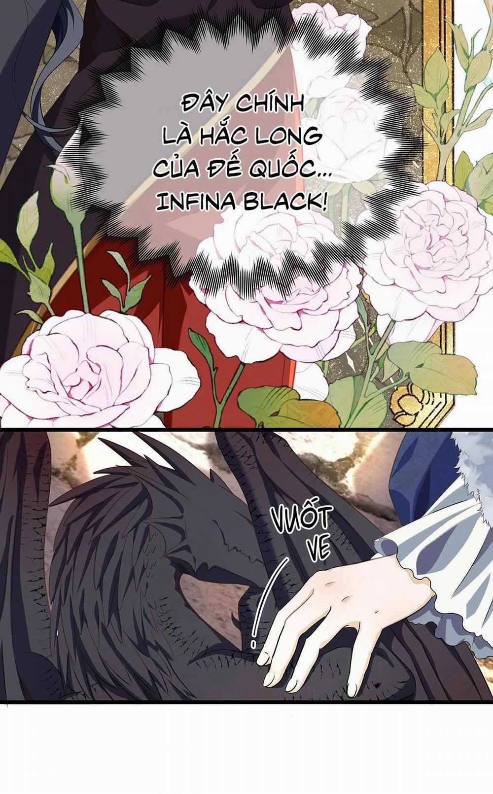 Tôi Trùng Sinh Thành Chú Rồng Đen Của Vương Tử Điện Hạ 11 trang 6