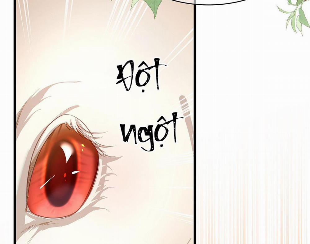 Tôi Trùng Sinh Thành Chú Rồng Đen Của Vương Tử Điện Hạ 14 trang 12