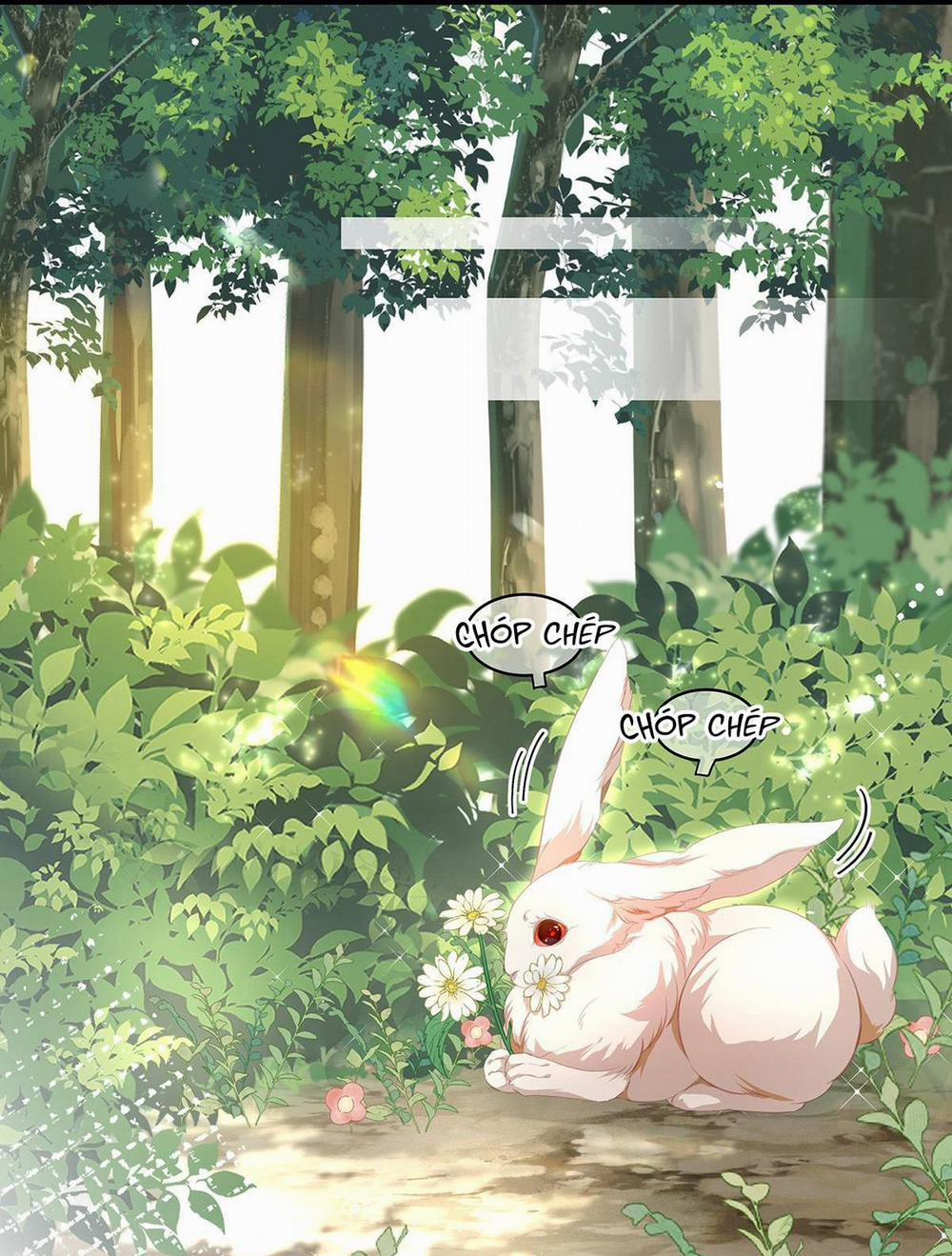 Tôi Trùng Sinh Thành Chú Rồng Đen Của Vương Tử Điện Hạ 15 trang 4