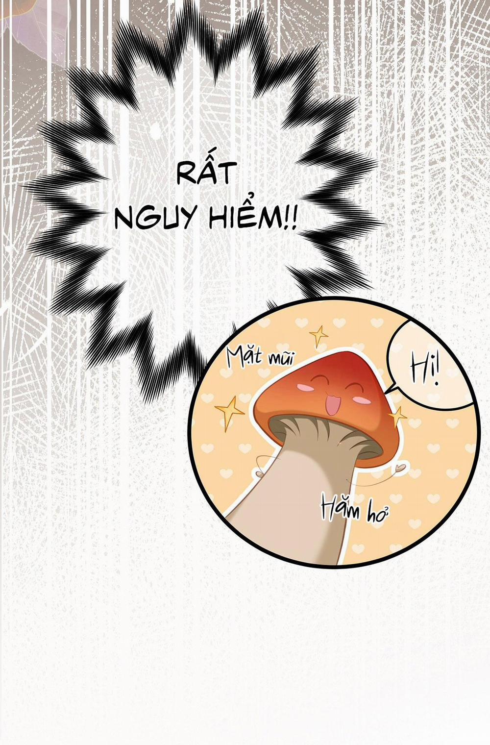 Tôi Trùng Sinh Thành Chú Rồng Đen Của Vương Tử Điện Hạ 19 trang 19