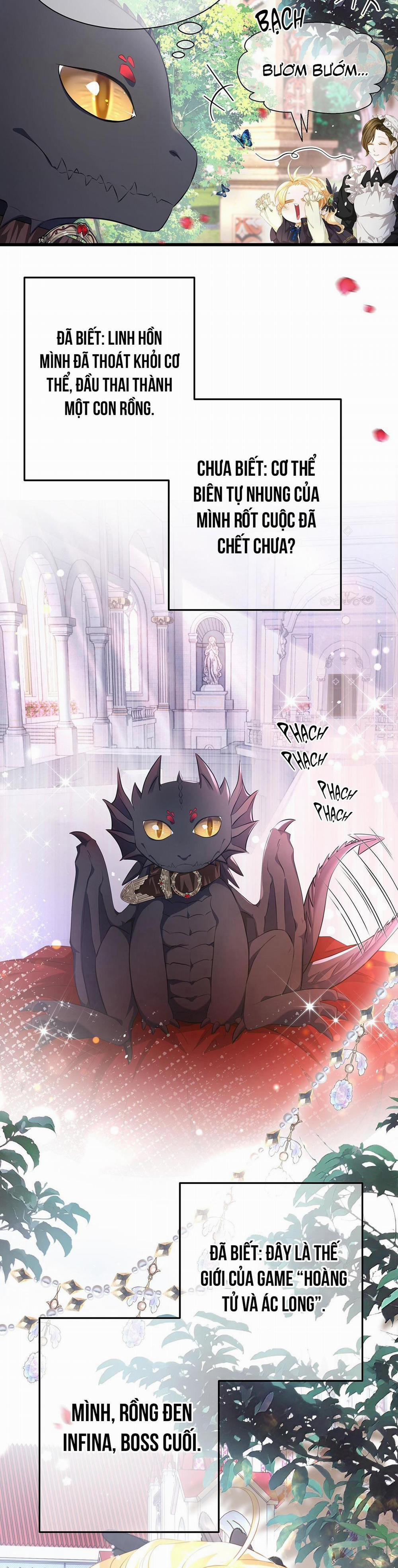 Tôi Trùng Sinh Thành Chú Rồng Đen Của Vương Tử Điện Hạ 2 trang 16