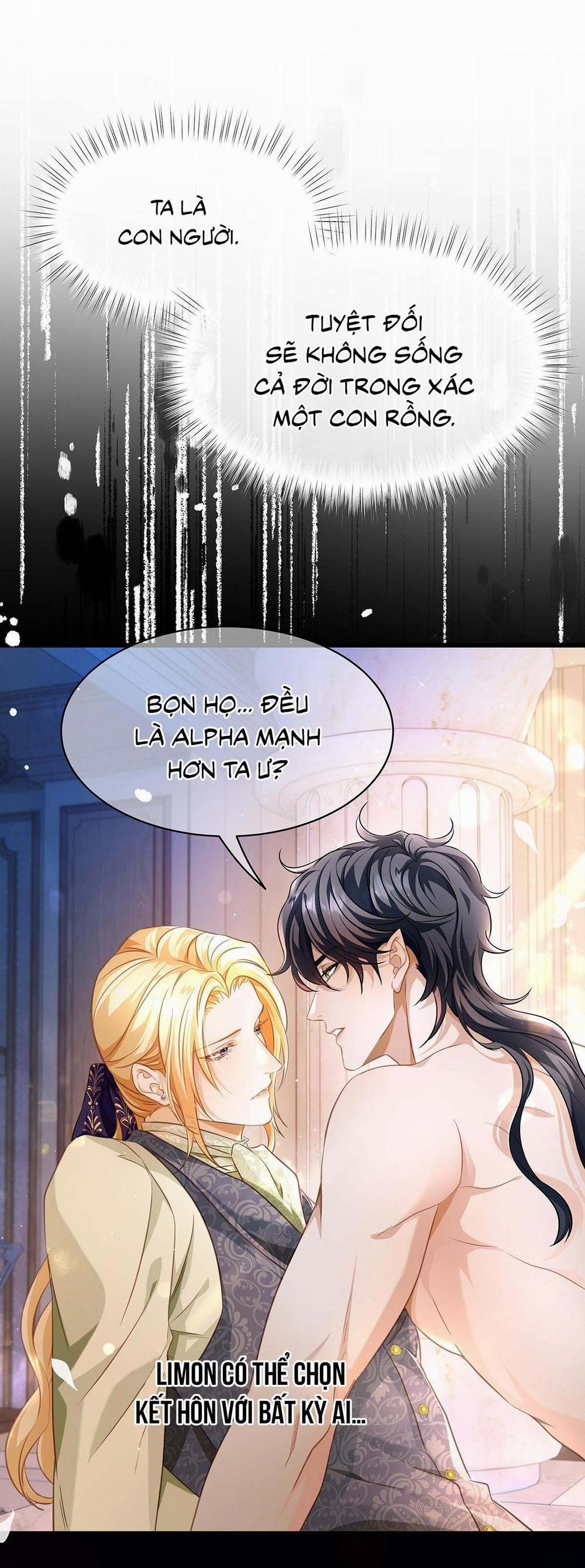 Tôi Trùng Sinh Thành Chú Rồng Đen Của Vương Tử Điện Hạ 25 trang 7