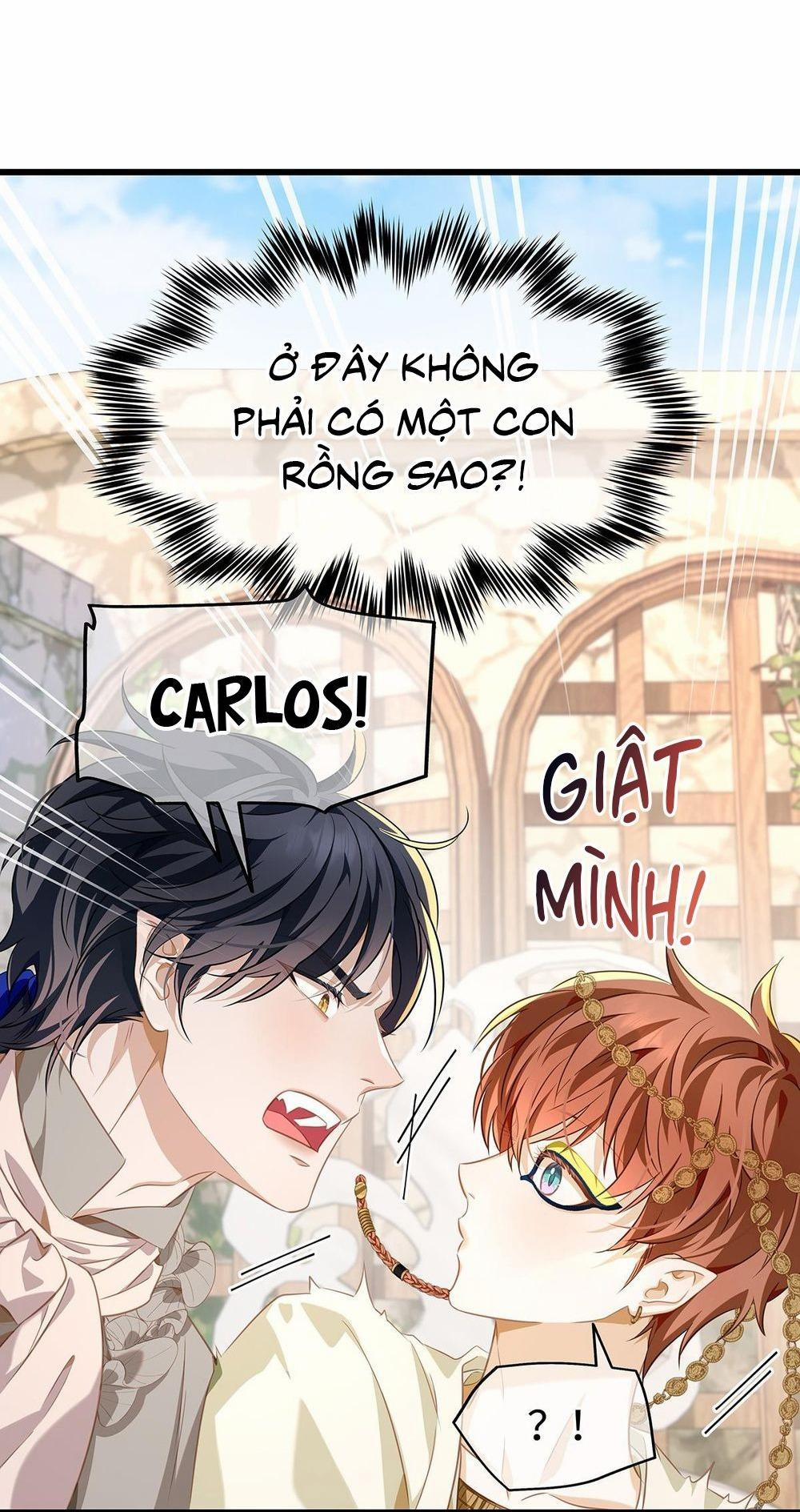 Tôi Trùng Sinh Thành Chú Rồng Đen Của Vương Tử Điện Hạ 26 trang 14