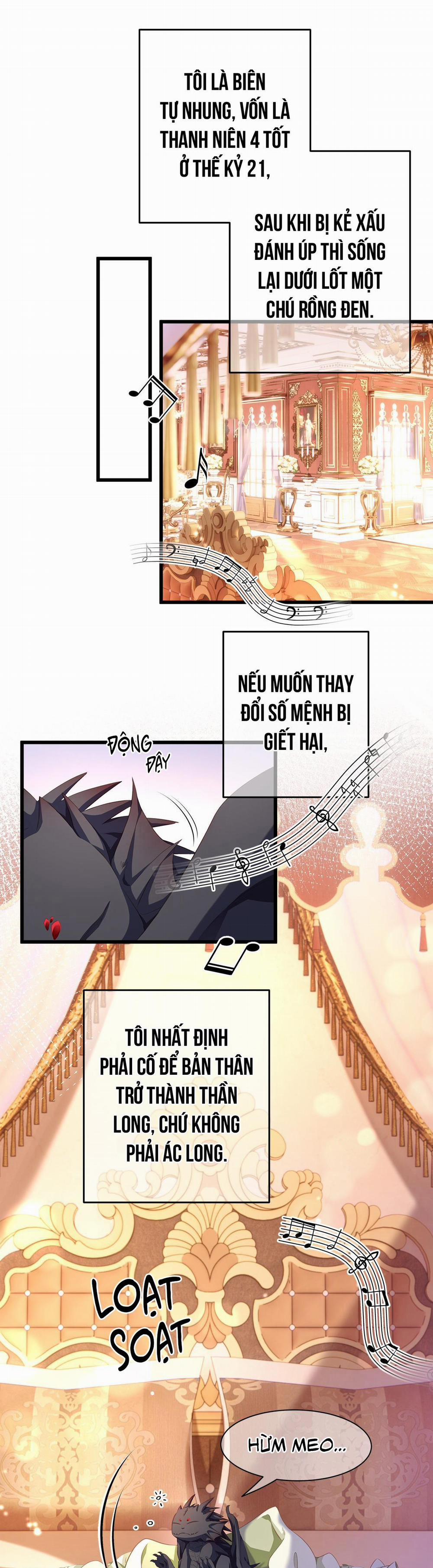 Tôi Trùng Sinh Thành Chú Rồng Đen Của Vương Tử Điện Hạ 4 trang 5