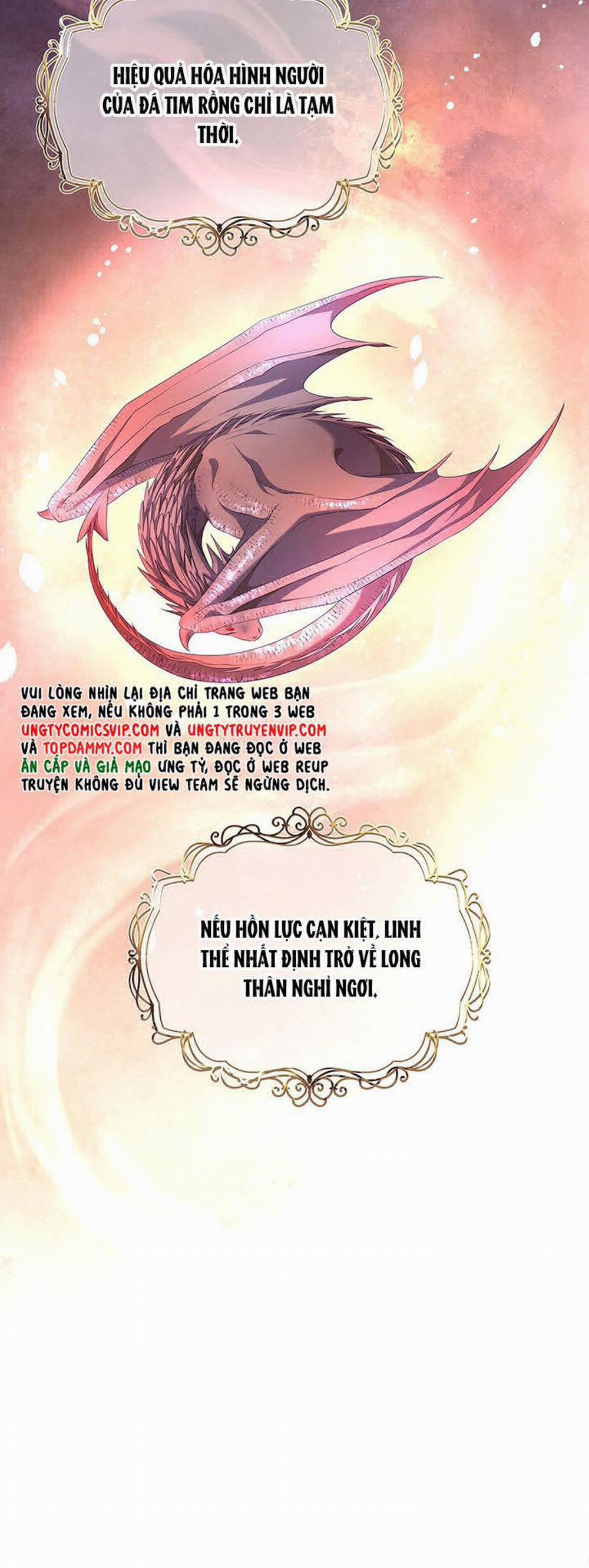 Tôi Trùng Sinh Trở Thành Tiểu Ác Long Của Vương Tử Điện Hạ 11 trang 13