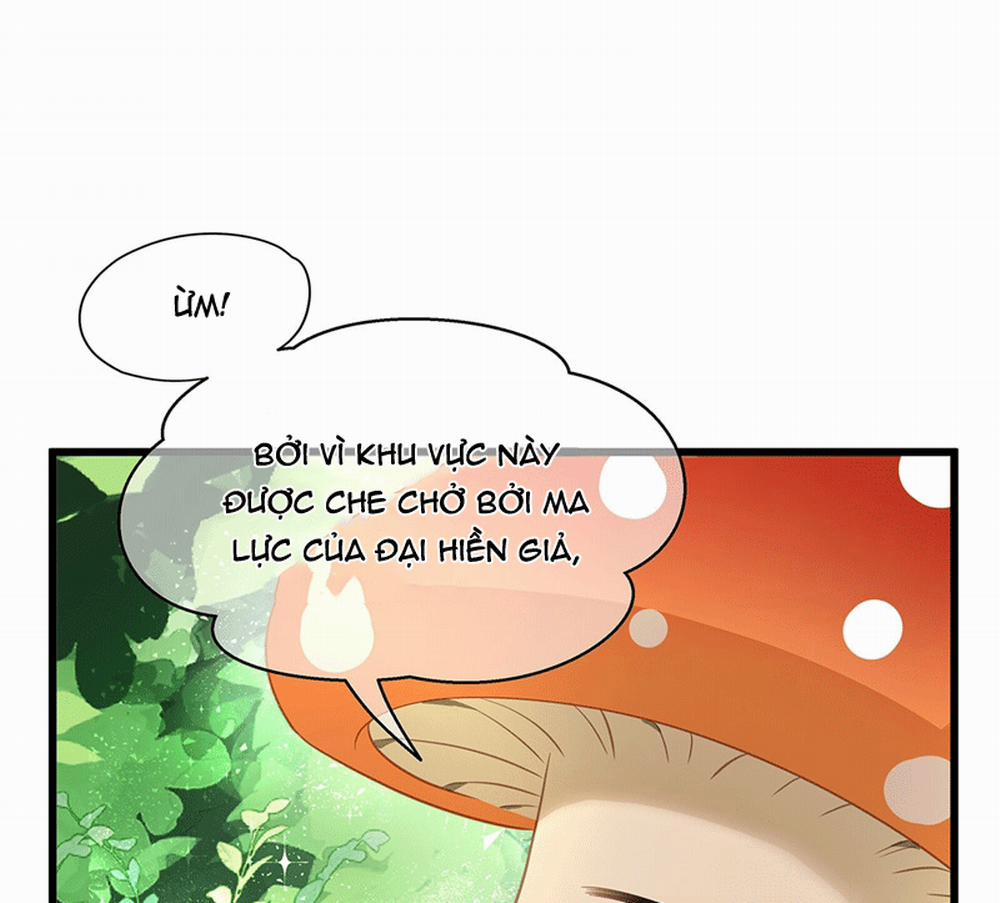 Tôi Trùng Sinh Trở Thành Tiểu Ác Long Của Vương Tử Điện Hạ 15 trang 13