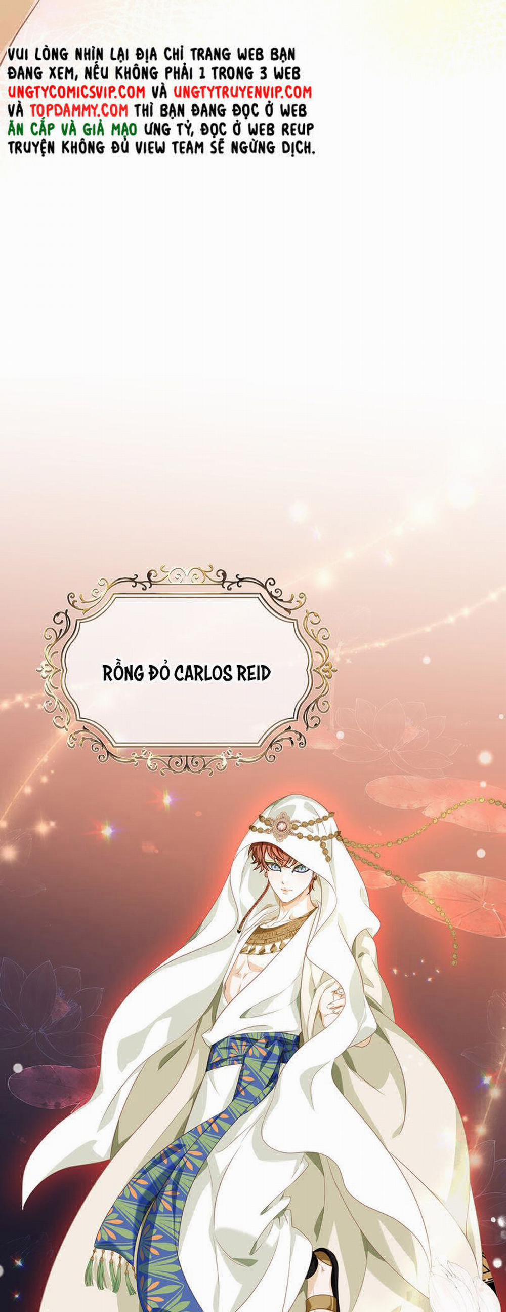 Tôi Trùng Sinh Trở Thành Tiểu Ác Long Của Vương Tử Điện Hạ 23 trang 13