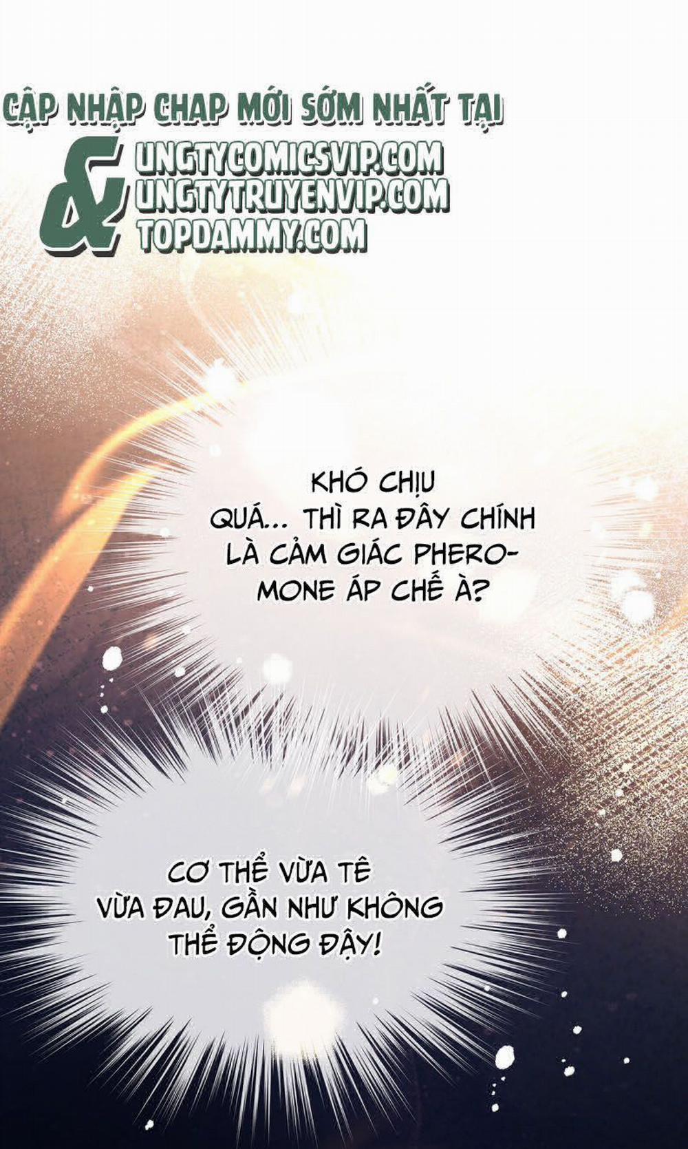 Tôi Trùng Sinh Trở Thành Tiểu Ác Long Của Vương Tử Điện Hạ 31 trang 8