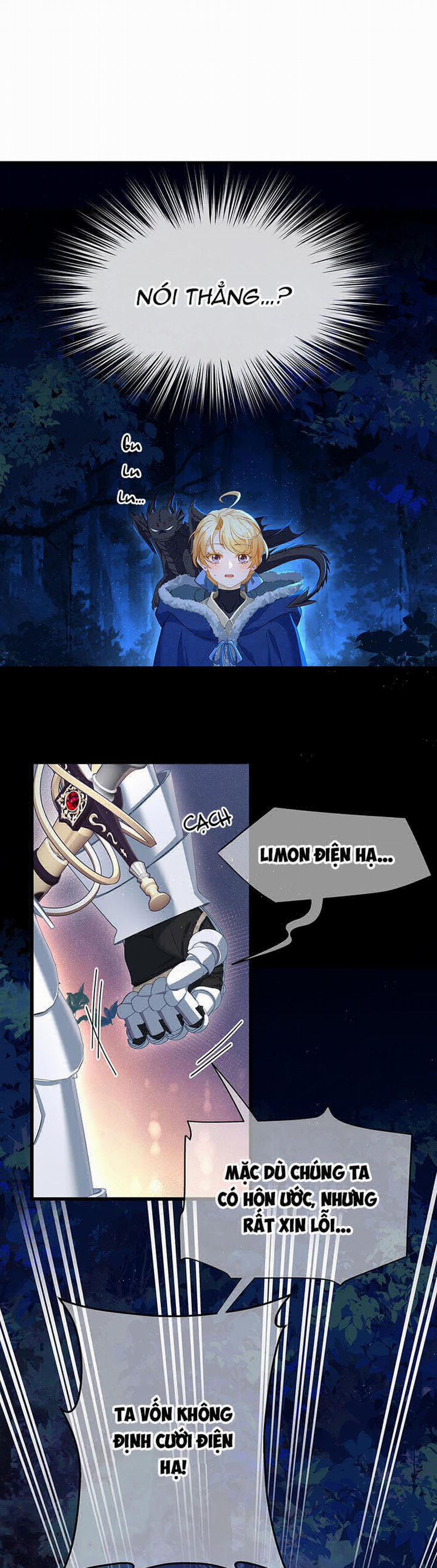 Tôi Trùng Sinh Trở Thành Tiểu Ác Long Của Vương Tử Điện Hạ 8 trang 13