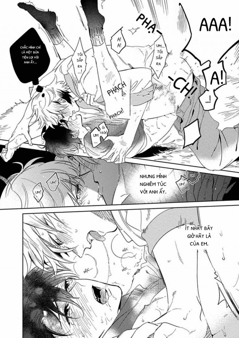 Tới trước húp trước 3 trang 28