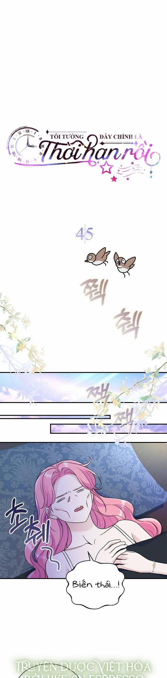 Tôi Tưởng Đây Chính Là Thời Hạn Rồi! 45 trang 15