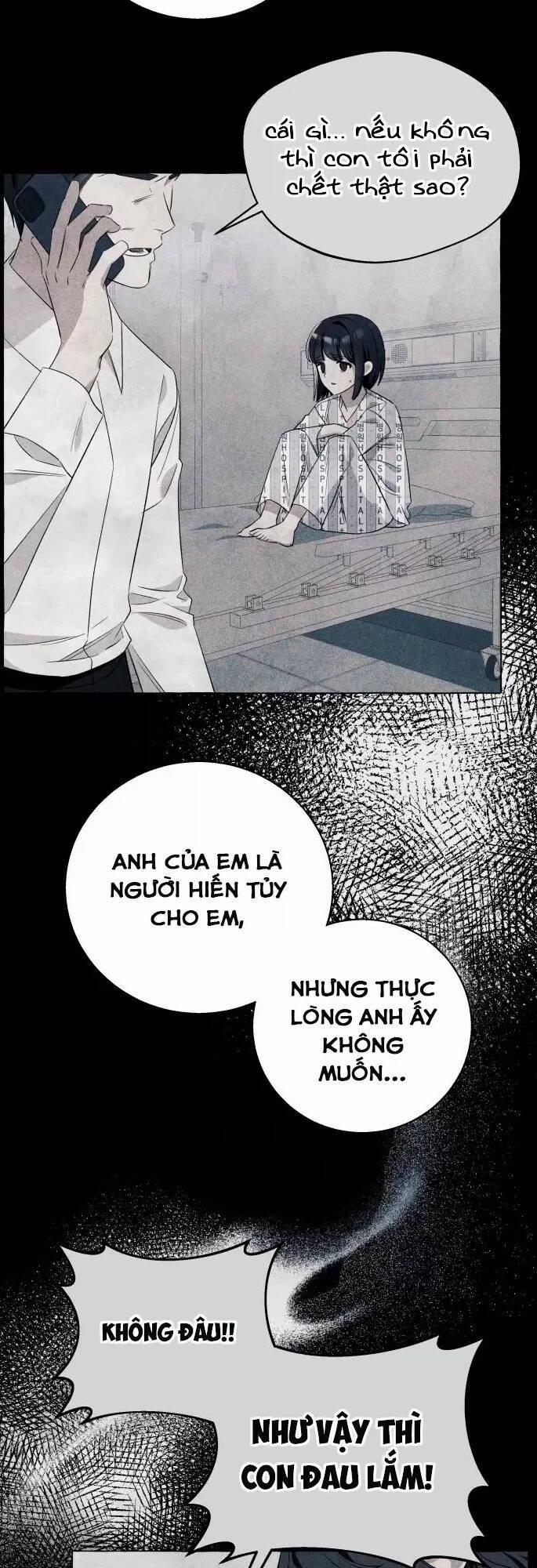 Tôi Tưởng Đó Chỉ Là Tiểu Thuyết Trọng Sinh Bình Thường 15 trang 40