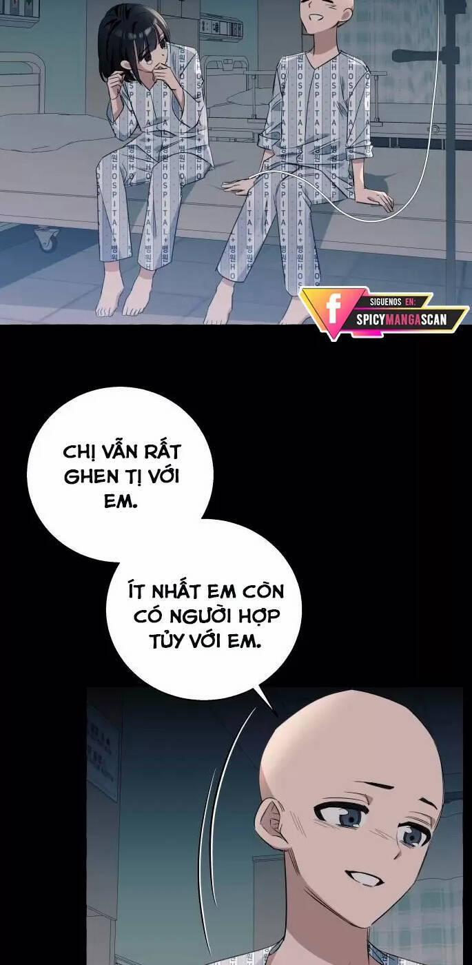 Tôi Tưởng Đó Chỉ Là Tiểu Thuyết Trọng Sinh Bình Thường 15 trang 43