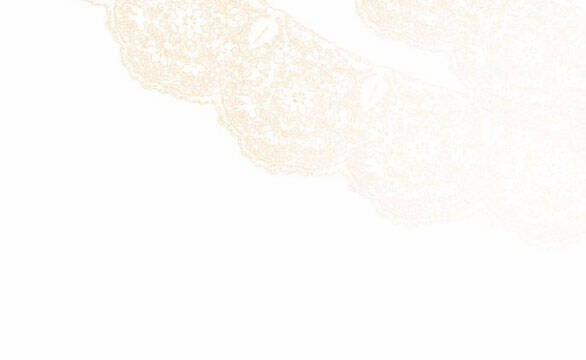 Tôi Tưởng Đó Chỉ Là Tiểu Thuyết Trọng Sinh Bình Thường 30.2 trang 18