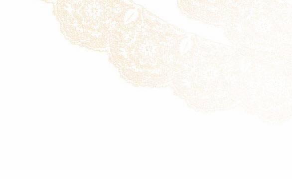 Tôi Tưởng Đó Chỉ Là Tiểu Thuyết Trọng Sinh Bình Thường 30 trang 69