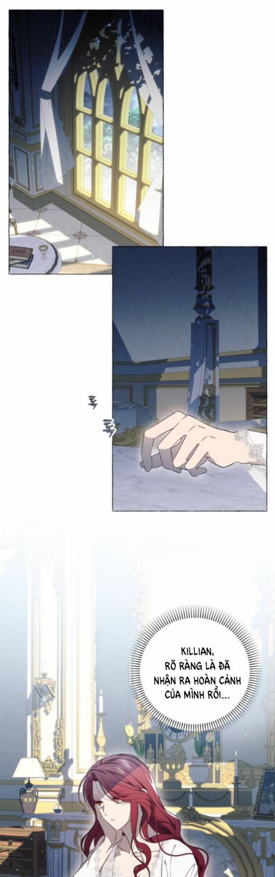 Tôi Tưởng Đó Chỉ Là Tiểu Thuyết Trọng Sinh Bình Thường 33 trang 0