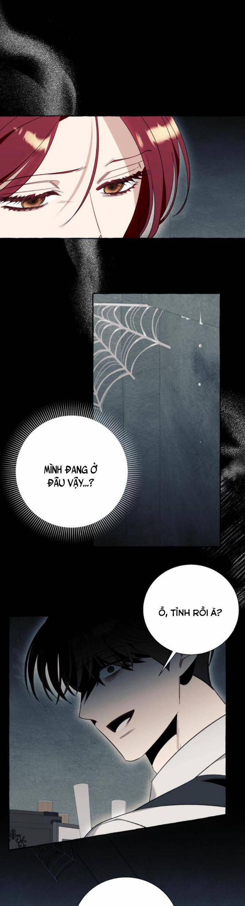 Tôi Tưởng Đó Chỉ Là Tiểu Thuyết Trọng Sinh Bình Thường 56 trang 13