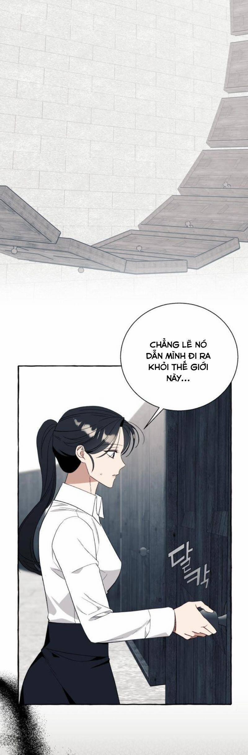 Tôi Tưởng Đó Chỉ Là Tiểu Thuyết Trọng Sinh Bình Thường 58 trang 2