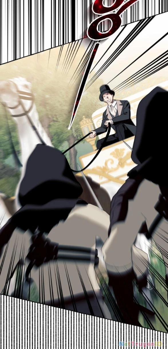 Tôi Tưởng Đó Chỉ Là Tiểu Thuyết Trọng Sinh Bình Thường 71 trang 29